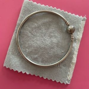 Pandora Moments Bangle - 7.5”
